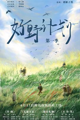 索维托爱情故事 封面图